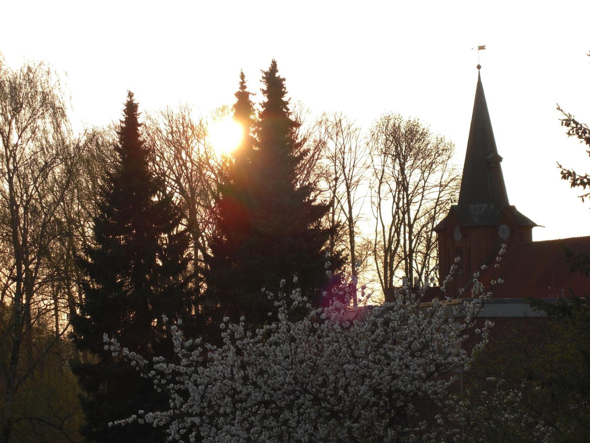 Adamidis Hotel Altenmedingen エクステリア 写真